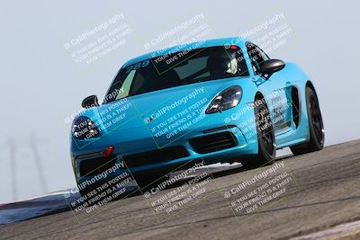 media/Jun-01-2025-PCA Golden Gate (Sun) [[9e4b10205a]]/Blue and Green/Session 1 (Grapevine)/